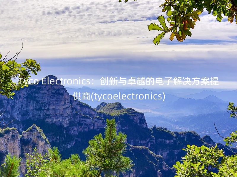 Tyco Electronics:创新与卓越的电子解决方案提供商(tycoelectronics)