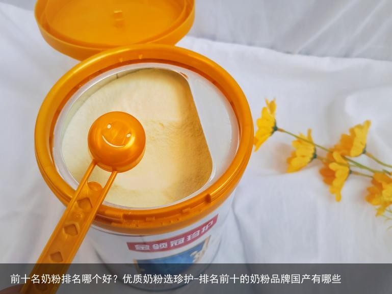 前十名奶粉排名哪个好？优质奶粉选珍护-排名前十的奶粉品牌国产有哪些