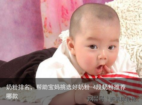 奶粉排名，帮助宝妈挑选好奶粉-4段奶粉推荐哪款