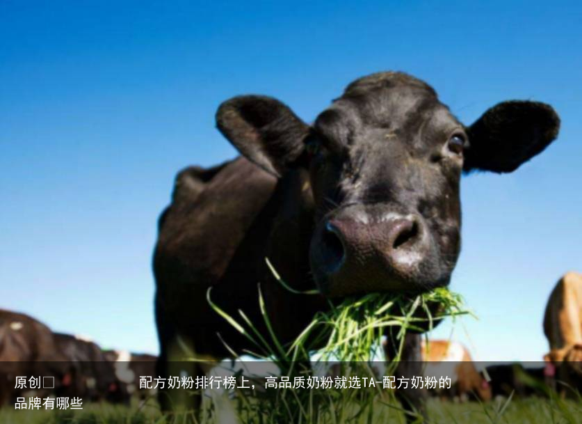 配方奶粉排行榜上，高品质奶粉就选TA-配方奶粉的品牌有哪些
