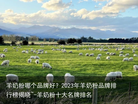 羊奶粉哪个品牌好？2023年羊奶粉品牌排行榜揭晓~-羊奶粉十大名牌排名