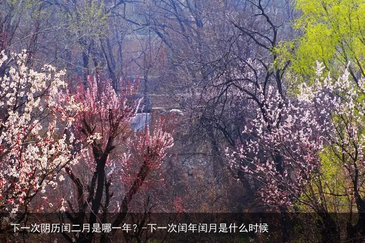 下一次阴历闰二月是哪一年？-下一次闰年闰月是什么时候