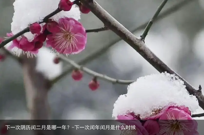 下一次阴历闰二月是哪一年？-下一次闰年闰月是什么时候