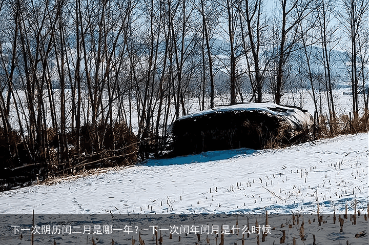 下一次阴历闰二月是哪一年？-下一次闰年闰月是什么时候