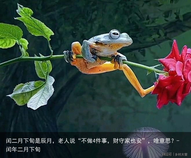 闰二月下旬是辰月，老人说“不做4件事，财守家也安”，啥意思？-闰年二月下旬