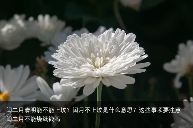 闰二月清明能不能上坟？闰月不上坟是什么意思？这些事项要注意-闰二月不能烧纸钱吗