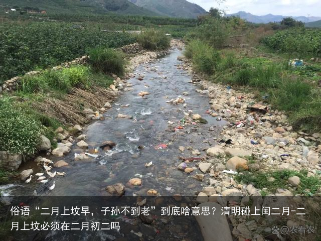 俗语“二月上坟早，子孙不到老”到底啥意思？清明碰上闰二月-二月上坟必须在二月初二吗