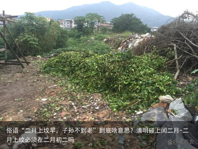 俗语“二月上坟早，子孙不到老”到底啥意思？清明碰上闰二月-二月上坟必须在二月初二吗