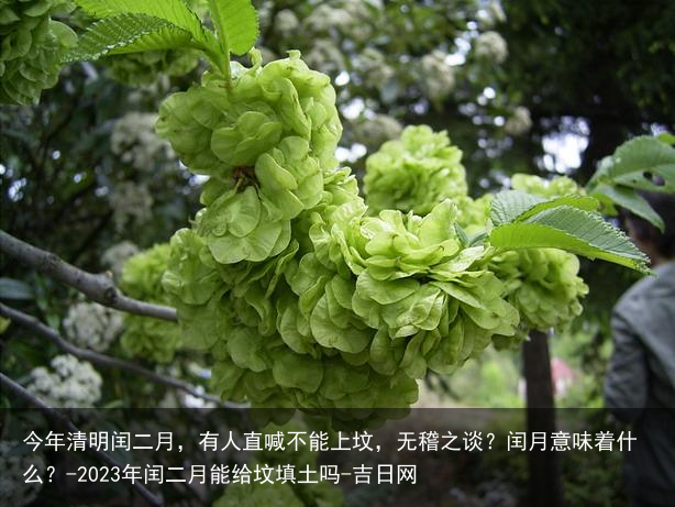 今年清明闰二月，有人直喊不能上坟，无稽之谈？闰月意味着什么？-2023年闰二月能给坟填土吗-吉日网