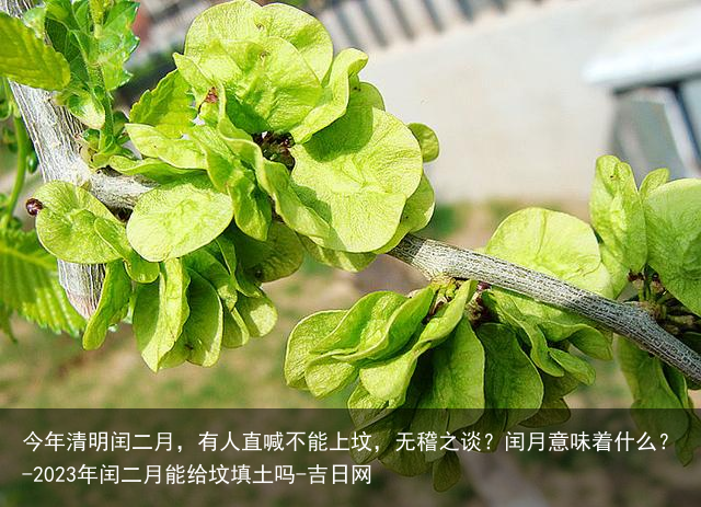 今年清明闰二月，有人直喊不能上坟，无稽之谈？闰月意味着什么？-2023年闰二月能给坟填土吗-吉日网