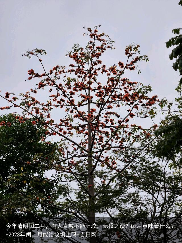 今年清明闰二月，有人直喊不能上坟，无稽之谈？闰月意味着什么？-2023年闰二月能给坟填土吗-吉日网