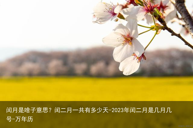 闰月是啥子意思？闰二月一共有多少天-2023年闰二月是几月几号-万年历