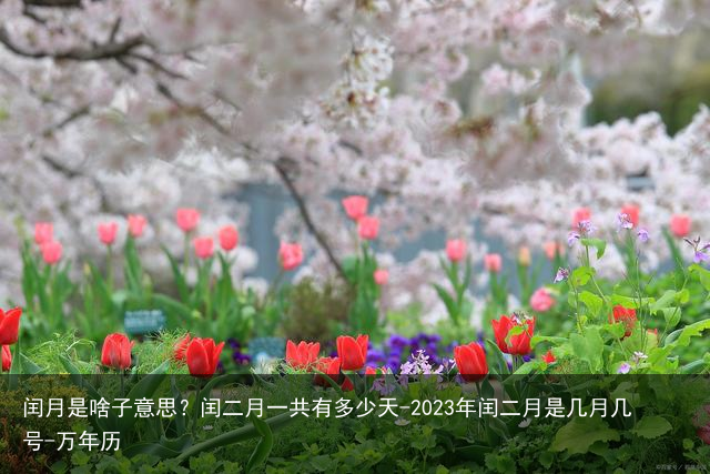 闰月是啥子意思？闰二月一共有多少天-2023年闰二月是几月几号-万年历