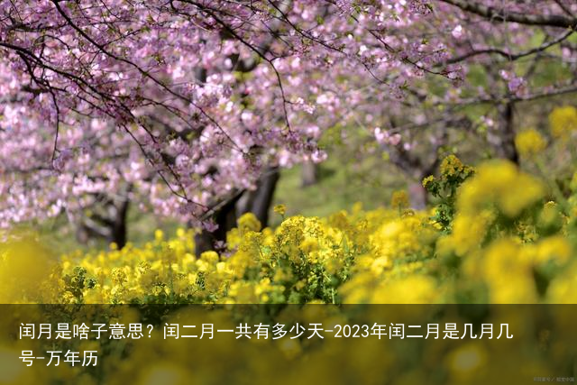 闰月是啥子意思？闰二月一共有多少天-2023年闰二月是几月几号-万年历