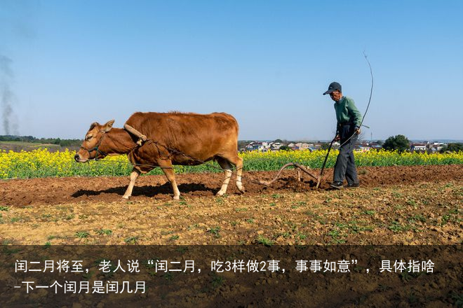 闰二月将至，老人说“闰二月，吃3样做2事，事事如意”，具体指啥-下一个闰月是闰几月