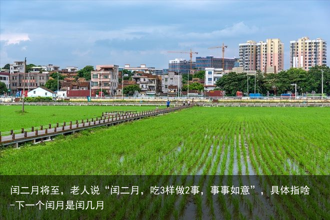 闰二月将至，老人说“闰二月，吃3样做2事，事事如意”，具体指啥-下一个闰月是闰几月