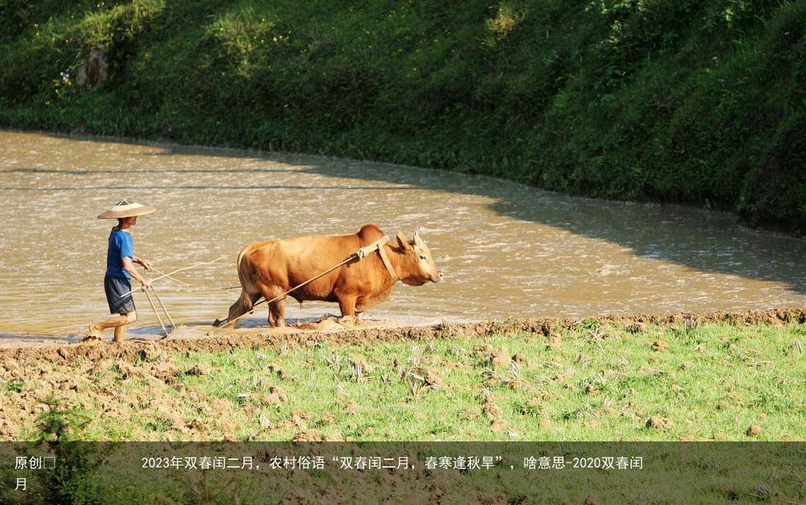 2023年双春闰二月，农村俗语“双春闰二月，春寒逢秋旱”，啥意思