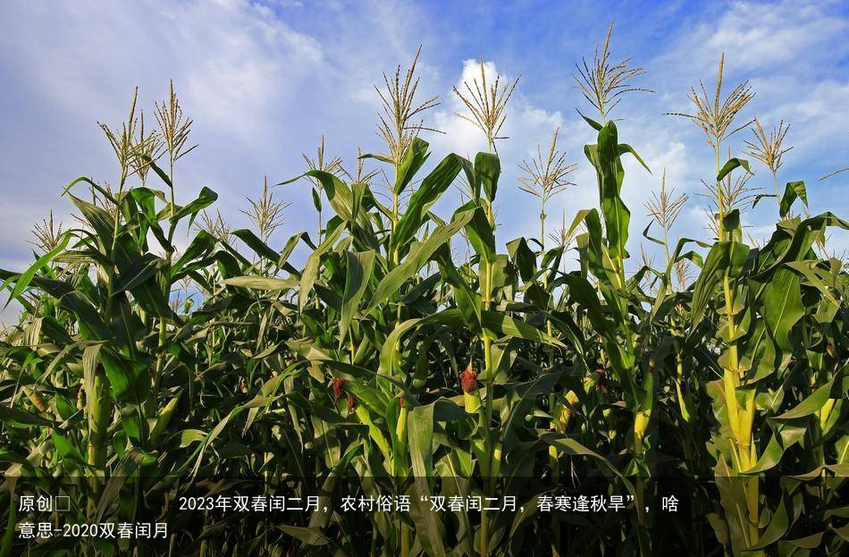 2023年双春闰二月，农村俗语“双春闰二月，春寒逢秋旱”，啥意思