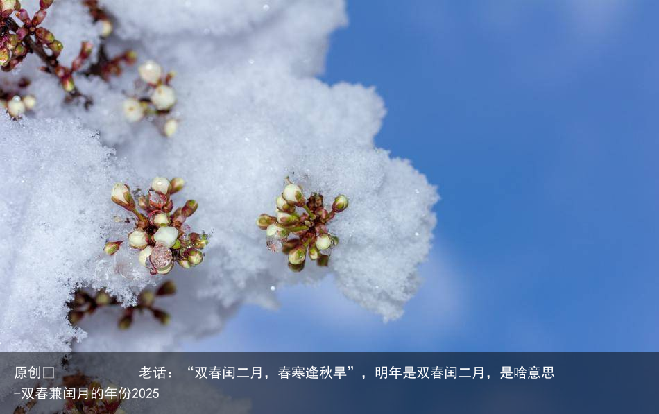 老话：“双春闰二月，春寒逢秋旱”，明年是双春闰二月，是啥意思