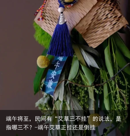 端午将至，民间有“艾草三不挂”的说法，是指哪三不？-端午艾草正挂还是倒挂