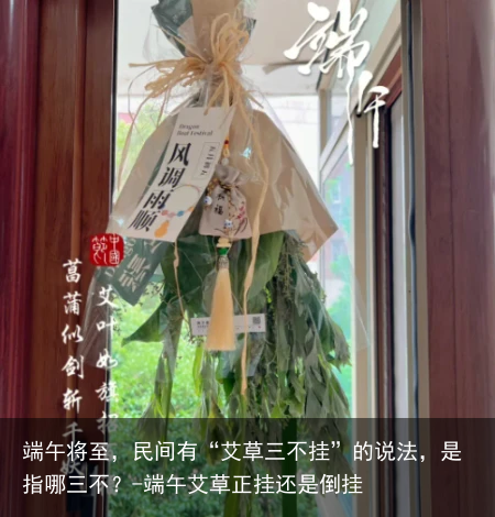 端午将至，民间有“艾草三不挂”的说法，是指哪三不？-端午艾草正挂还是倒挂