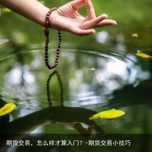 期货交易，怎么样才算入门？-期货交易小技巧