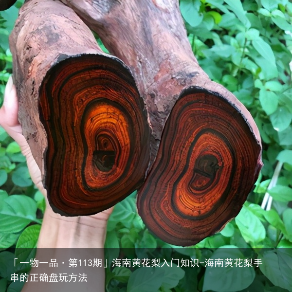 「一物一品·第113期」海南黄花梨入门知识-海南黄花梨手串的正确盘玩方法