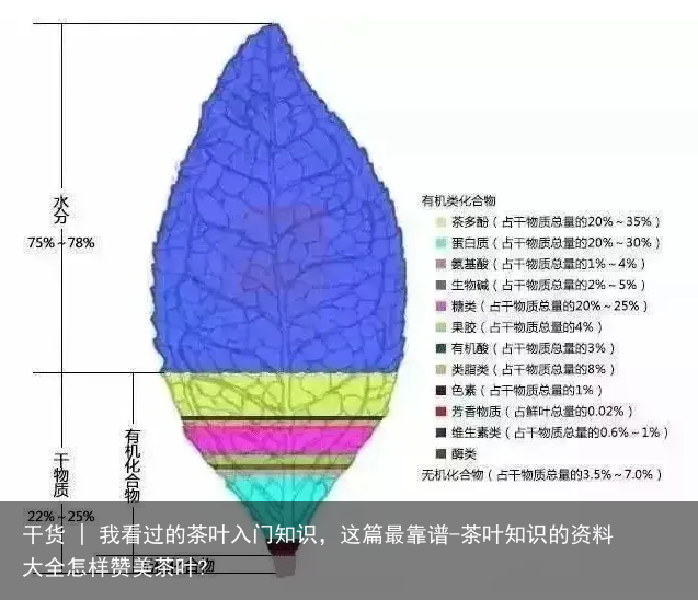 干货 | 我看过的茶叶入门知识，这篇最靠谱-茶叶知识的资料大全怎样赞美茶叶?