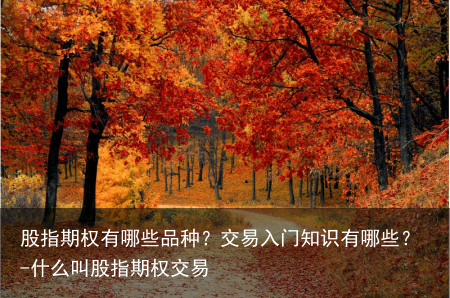 股指期权有哪些品种？交易入门知识有哪些？-什么叫股指期权交易