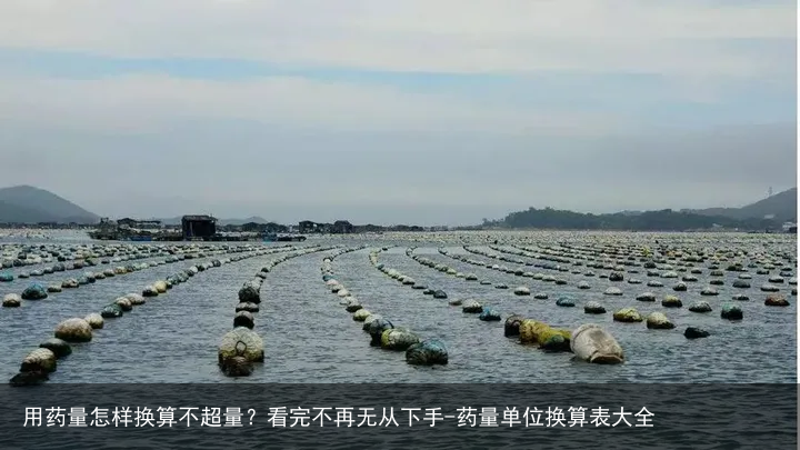 用药量怎样换算不超量？看完不再无从下手-药量单位换算表大全