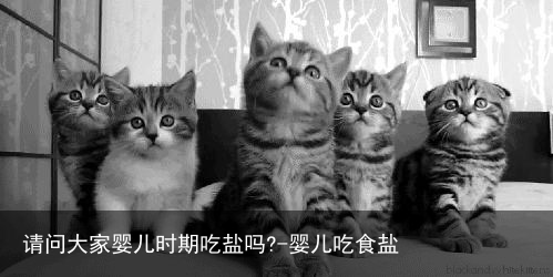 请问大家婴儿时期吃盐吗?-婴儿吃食盐