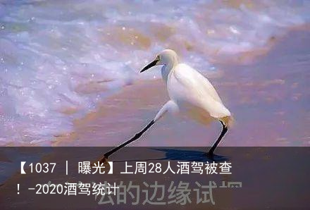 【1037 | 曝光】上周28人酒驾被查！-2020酒驾统计