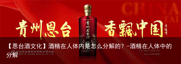 【恩台酒文化】酒精在人体内是怎么分解的？-酒精在人体中的分解