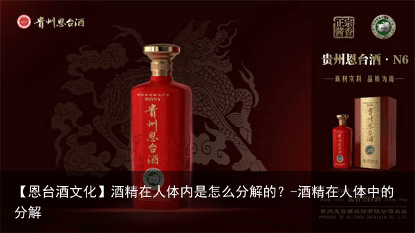 【恩台酒文化】酒精在人体内是怎么分解的？-酒精在人体中的分解