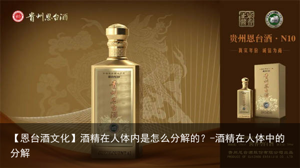 【恩台酒文化】酒精在人体内是怎么分解的？-酒精在人体中的分解