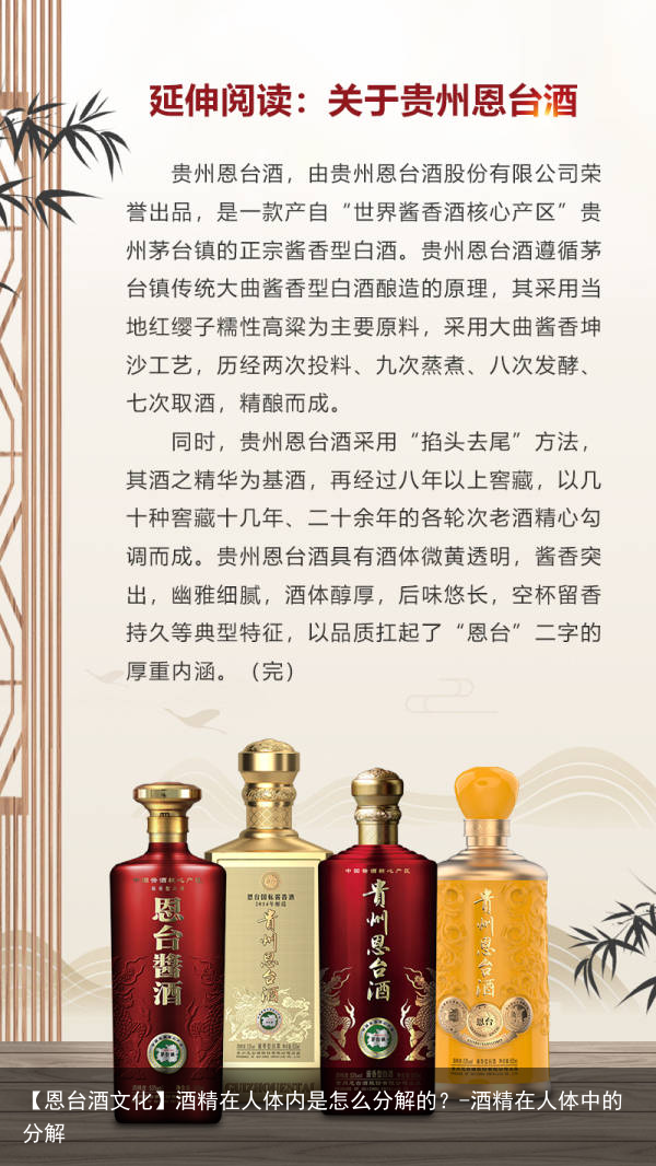 【恩台酒文化】酒精在人体内是怎么分解的？-酒精在人体中的分解