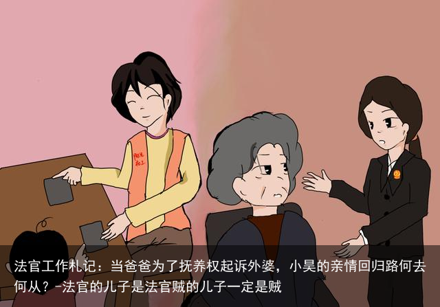 法官工作札记：当爸爸为了抚养权起诉外婆，小昊的亲情回归路何去何从？-法官的儿子是法官贼的儿子一定是贼