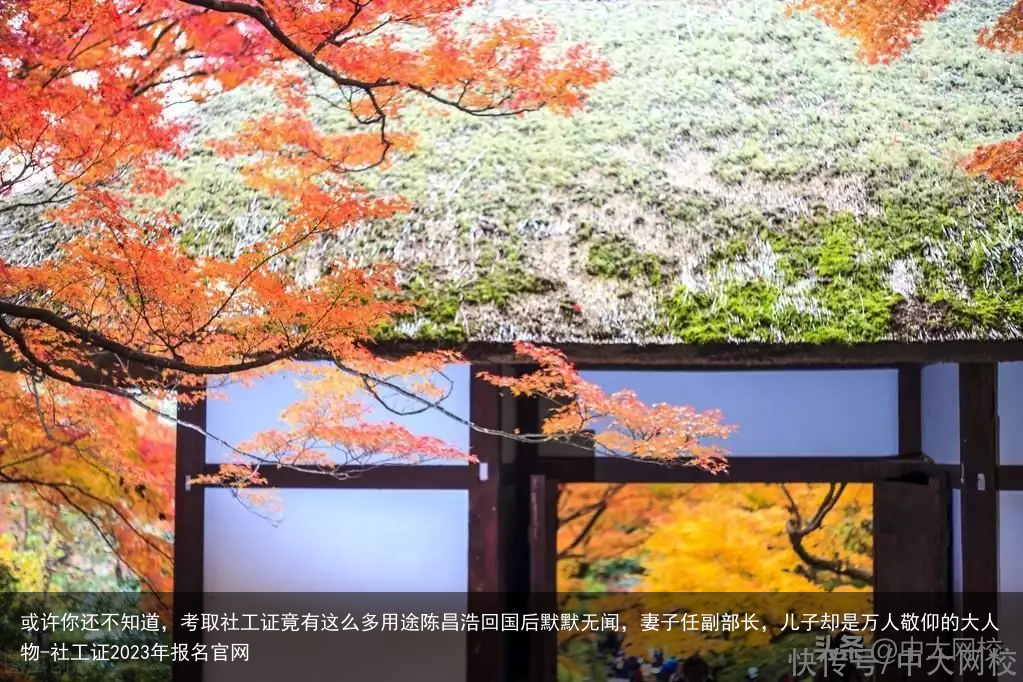 或许你还不知道，考取社工证竟有这么多用途陈昌浩回国后默默无闻，妻子任副部长，儿子却是万人敬仰的大人物-社工证2023年报名官网