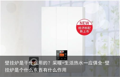壁挂炉是干什么用的？采暖+生活热水一应俱全-壁挂炉是个什么东西有什么作用