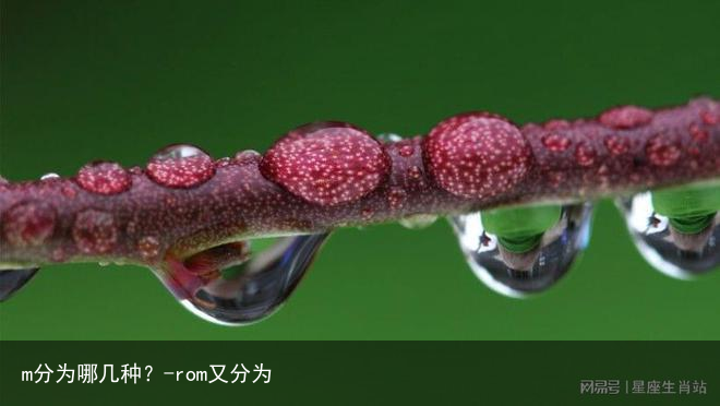 m分为哪几种？-rom又分为