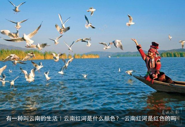 有一种叫云南的生活｜云南红河是什么颜色？-云南红河是红色的吗