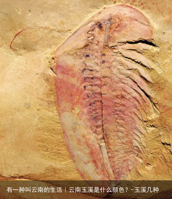 有一种叫云南的生活｜云南玉溪是什么颜色？-玉溪几种