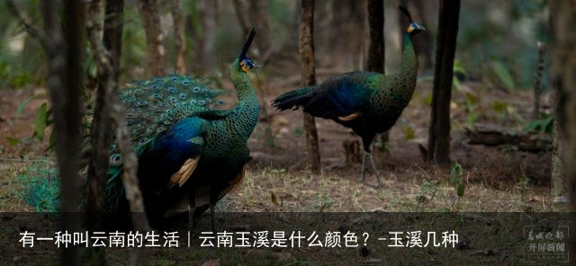 有一种叫云南的生活｜云南玉溪是什么颜色？-玉溪几种