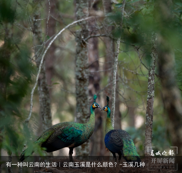 有一种叫云南的生活｜云南玉溪是什么颜色？-玉溪几种