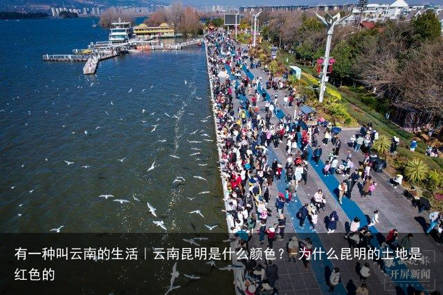 有一种叫云南的生活｜云南昆明是什么颜色？-为什么昆明的土地是红色的
