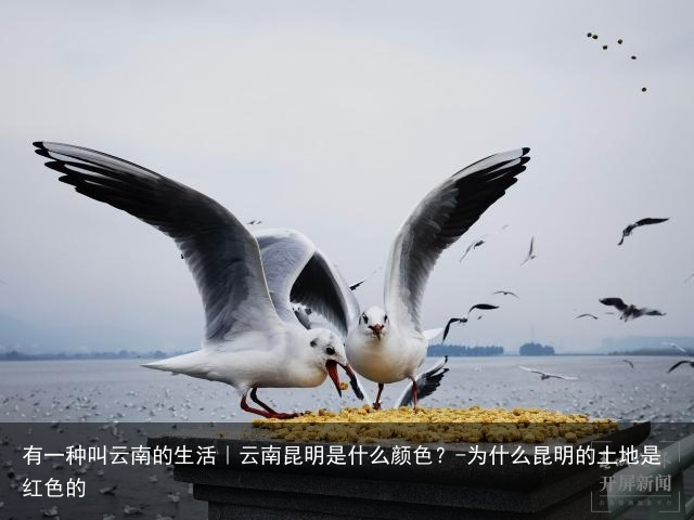 有一种叫云南的生活｜云南昆明是什么颜色？-为什么昆明的土地是红色的