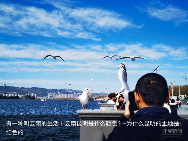 有一种叫云南的生活｜云南昆明是什么颜色？-为什么昆明的土地是红色的