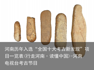河南历年入选“全国十大考古新发现”项目一览表(行走河南·读懂中国)-河南电视台考古节目