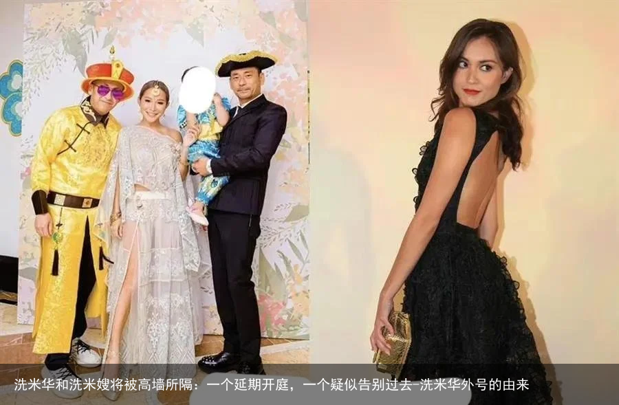 洗米华和洗米嫂将被高墙所隔：一个延期开庭，一个疑似告别过去-洗米华外号的由来