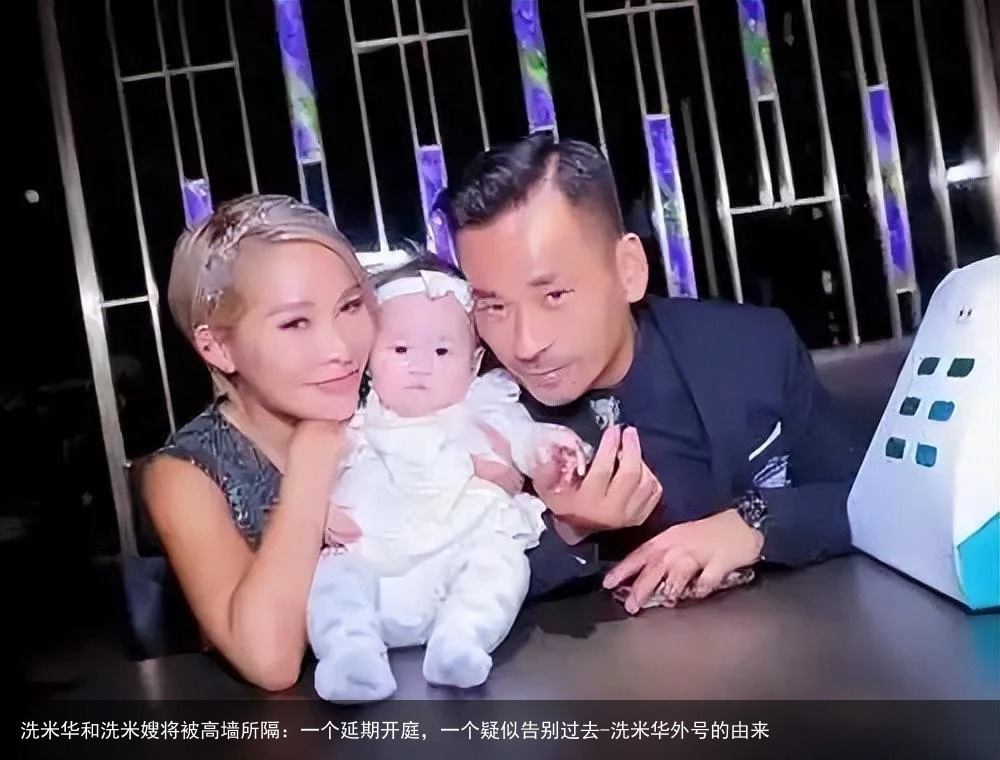 洗米华和洗米嫂将被高墙所隔：一个延期开庭，一个疑似告别过去-洗米华外号的由来
